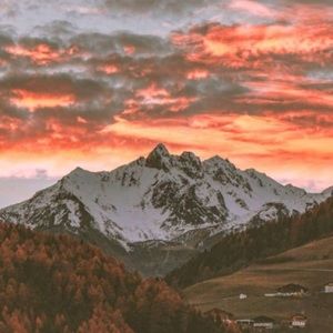 Meet your Posher, Leiloni